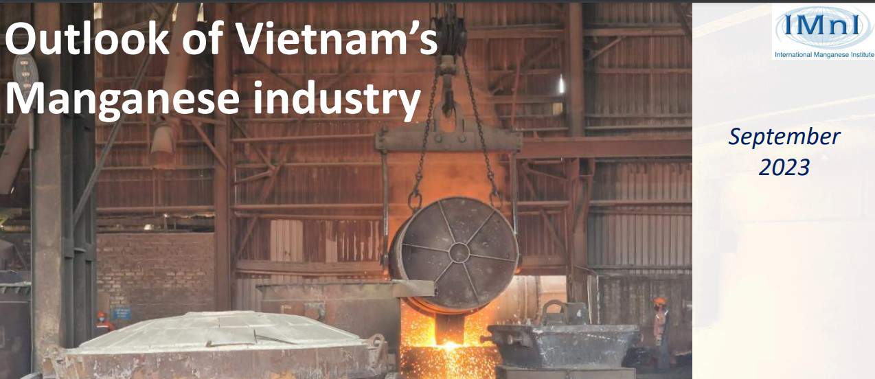 What is the potential of the Manganese industry in Vietnam?
